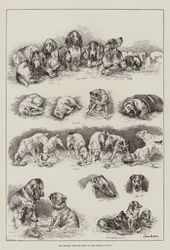 The Kennel Club Dog Show at the Crystal Palace